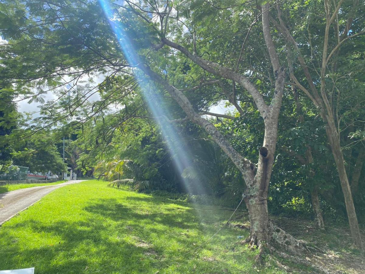 The Serene House Bed & Breakfast Luquillo Ngoại thất bức ảnh