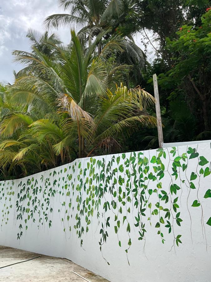 The Serene House Bed & Breakfast Luquillo Ngoại thất bức ảnh