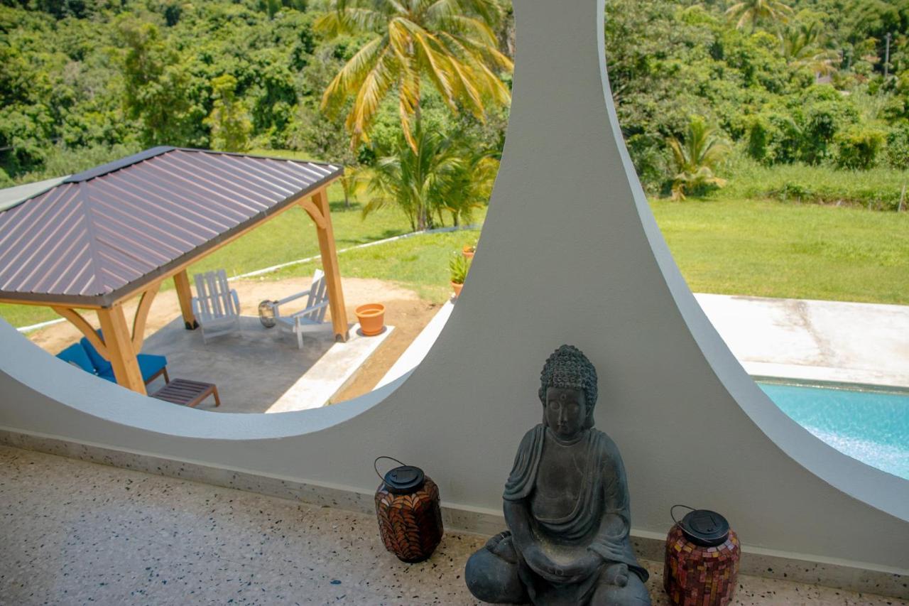 The Serene House Bed & Breakfast Luquillo Ngoại thất bức ảnh