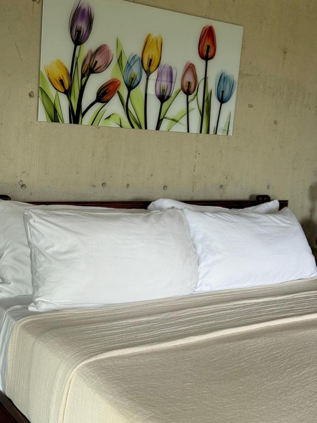 The Serene House Bed & Breakfast Luquillo Ngoại thất bức ảnh