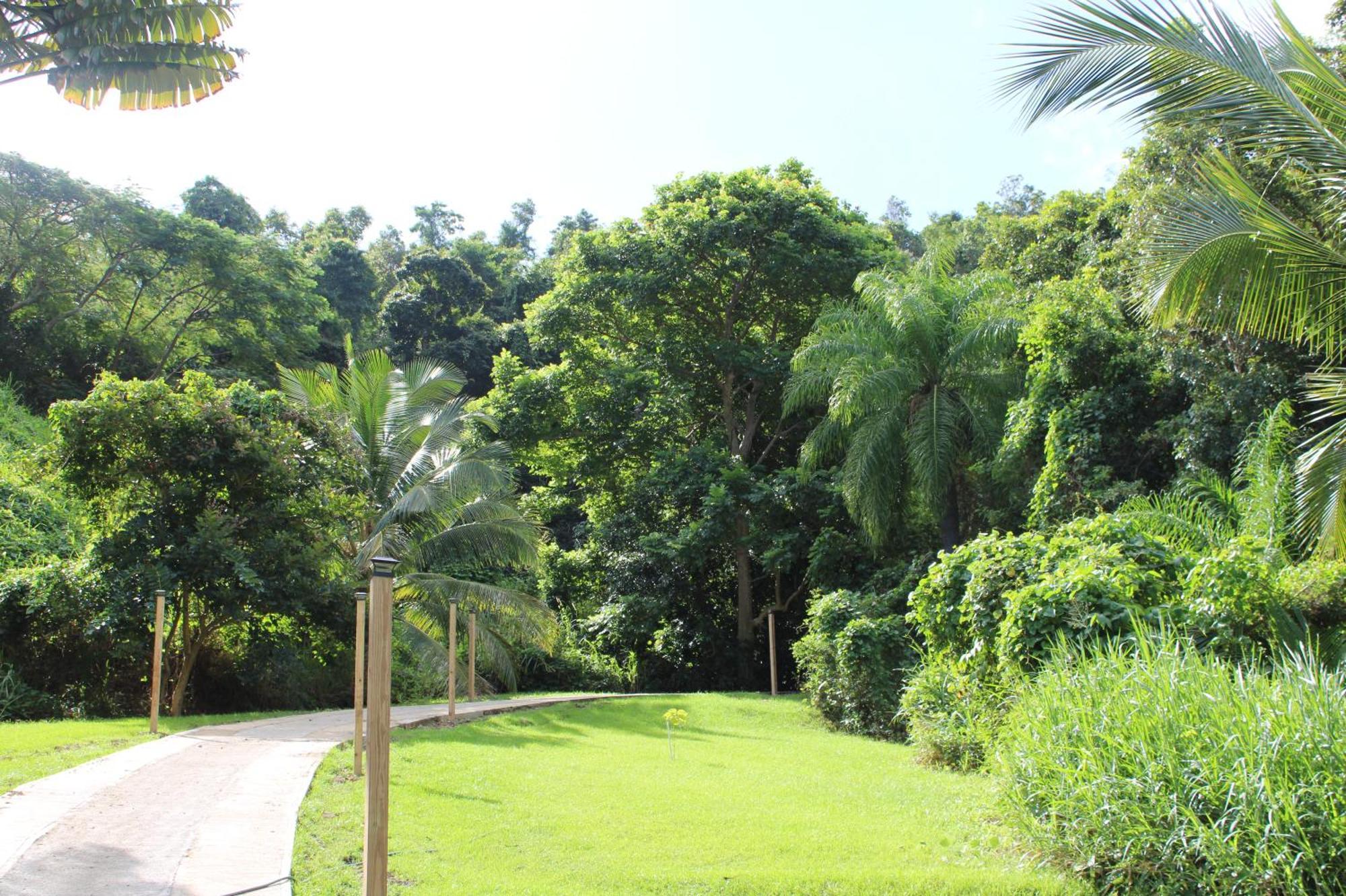 The Serene House Bed & Breakfast Luquillo Ngoại thất bức ảnh