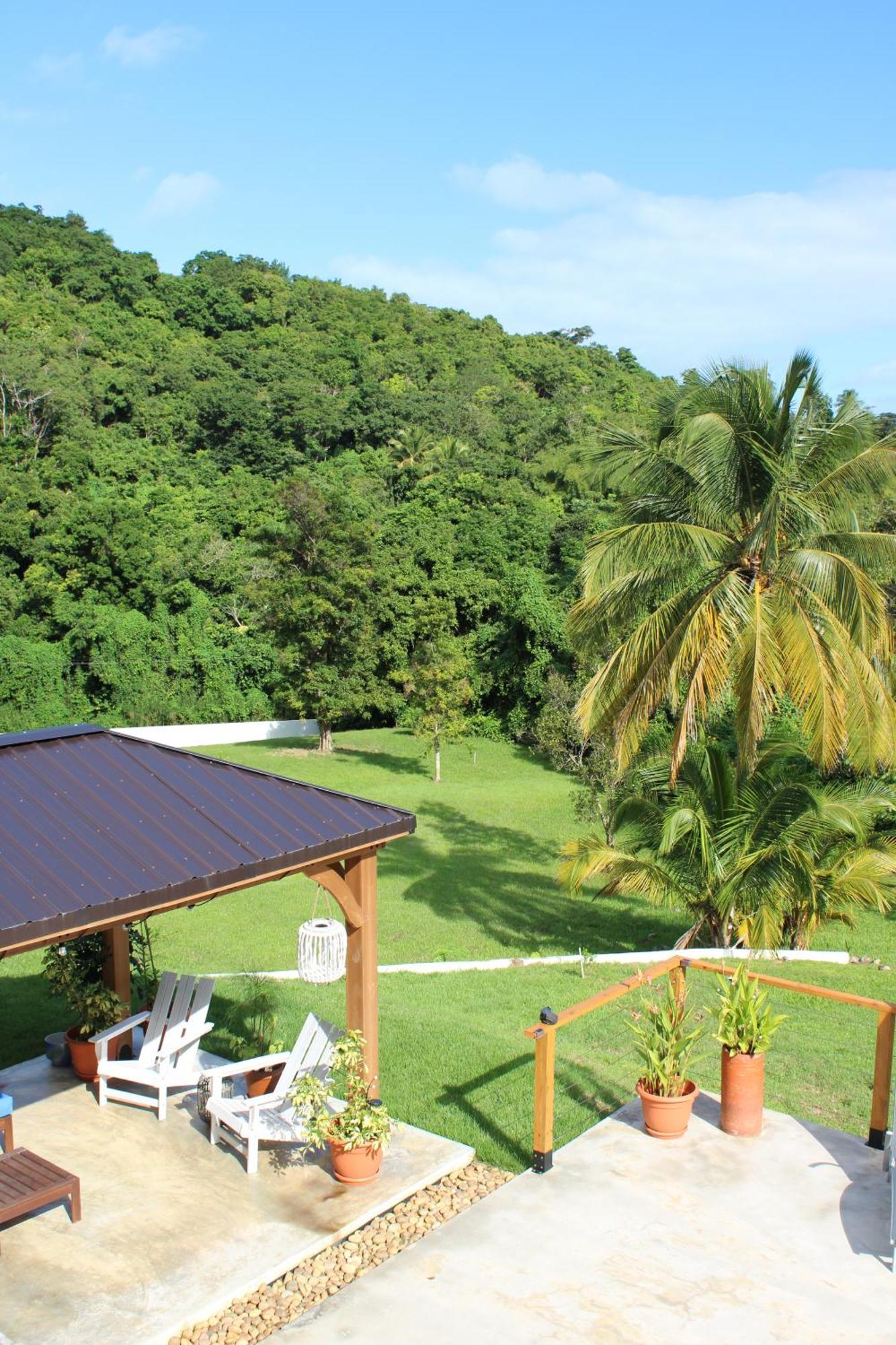 The Serene House Bed & Breakfast Luquillo Ngoại thất bức ảnh