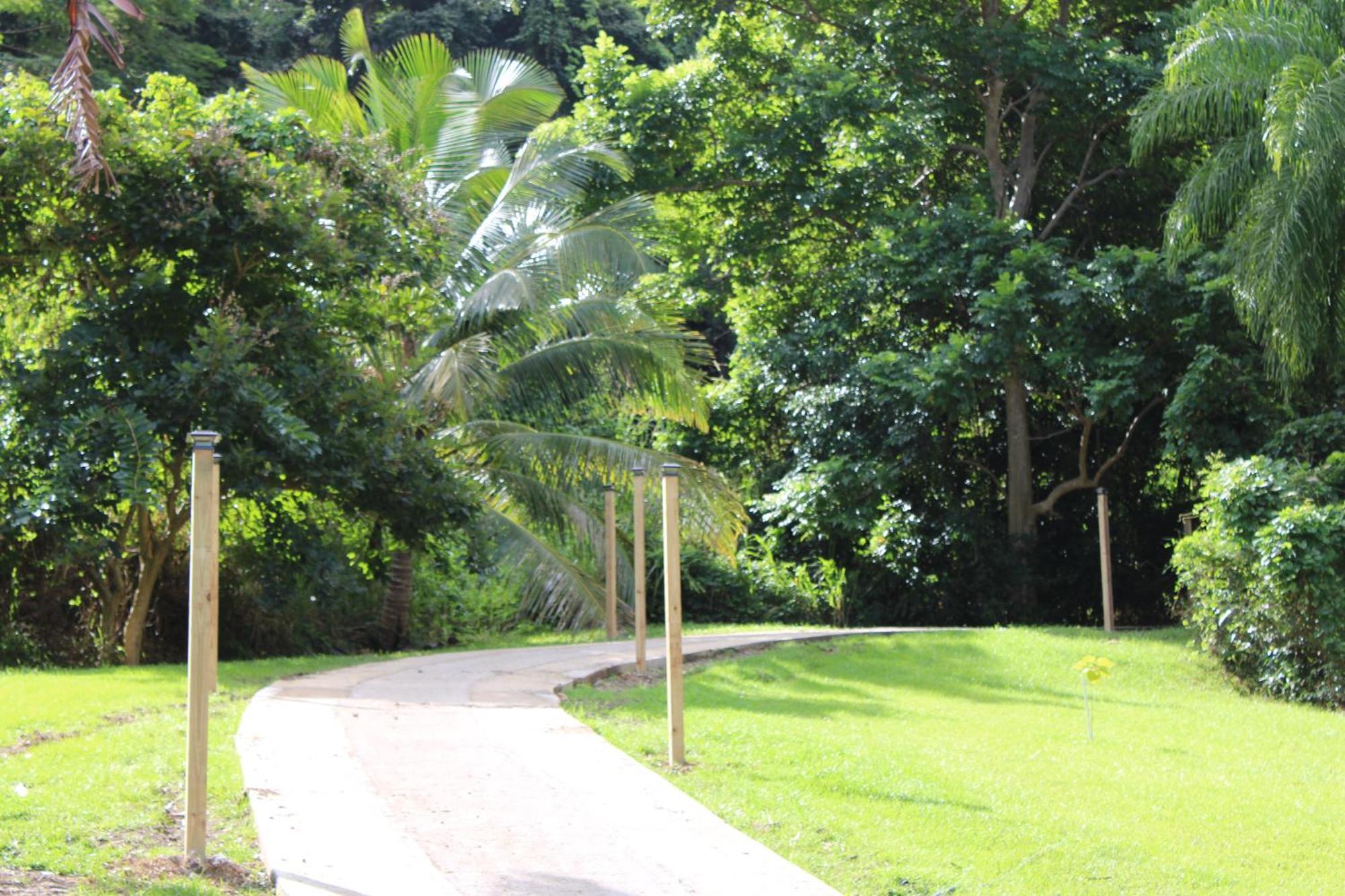 The Serene House Bed & Breakfast Luquillo Ngoại thất bức ảnh