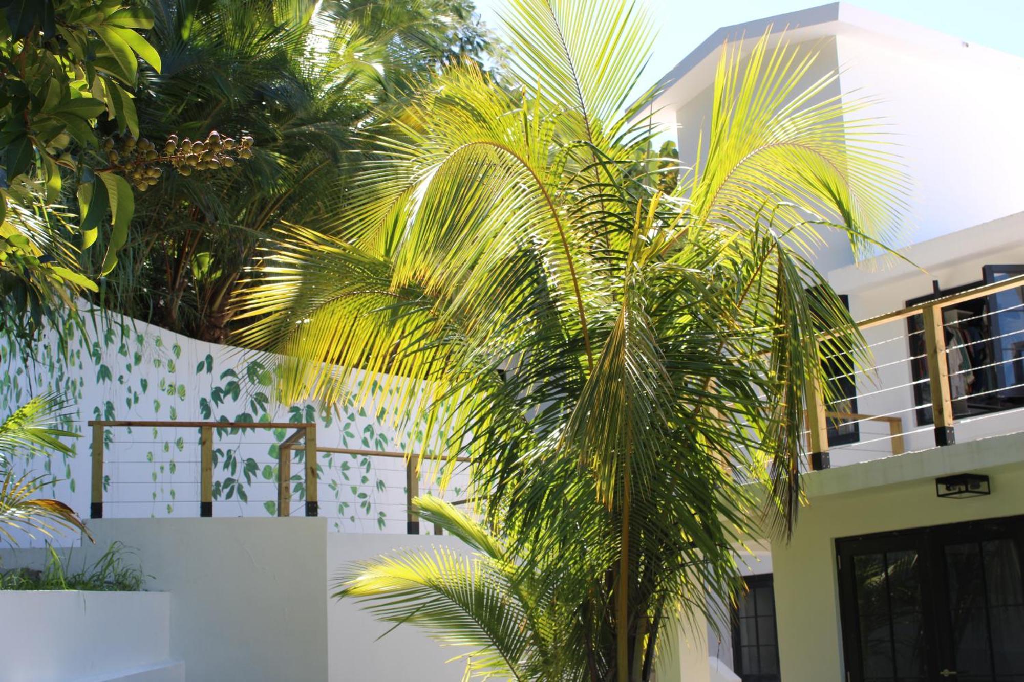 The Serene House Bed & Breakfast Luquillo Ngoại thất bức ảnh